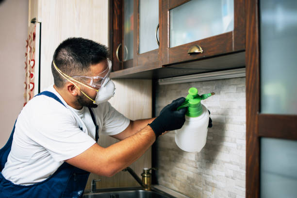 Best Pest Control for Restaurants  in Latham, NY