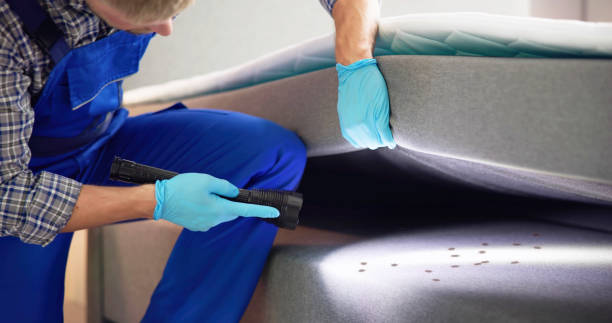 Best Rat Extermination Near Me  in Latham, NY