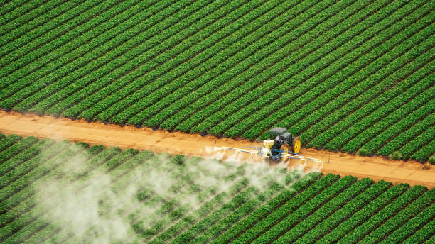 Pest Control Cost in Latham, NY
