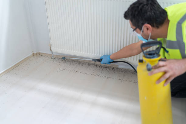 Professional Pest Control in Latham, NY