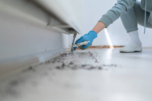 Best Best Pest Control Companies  in Latham, NY